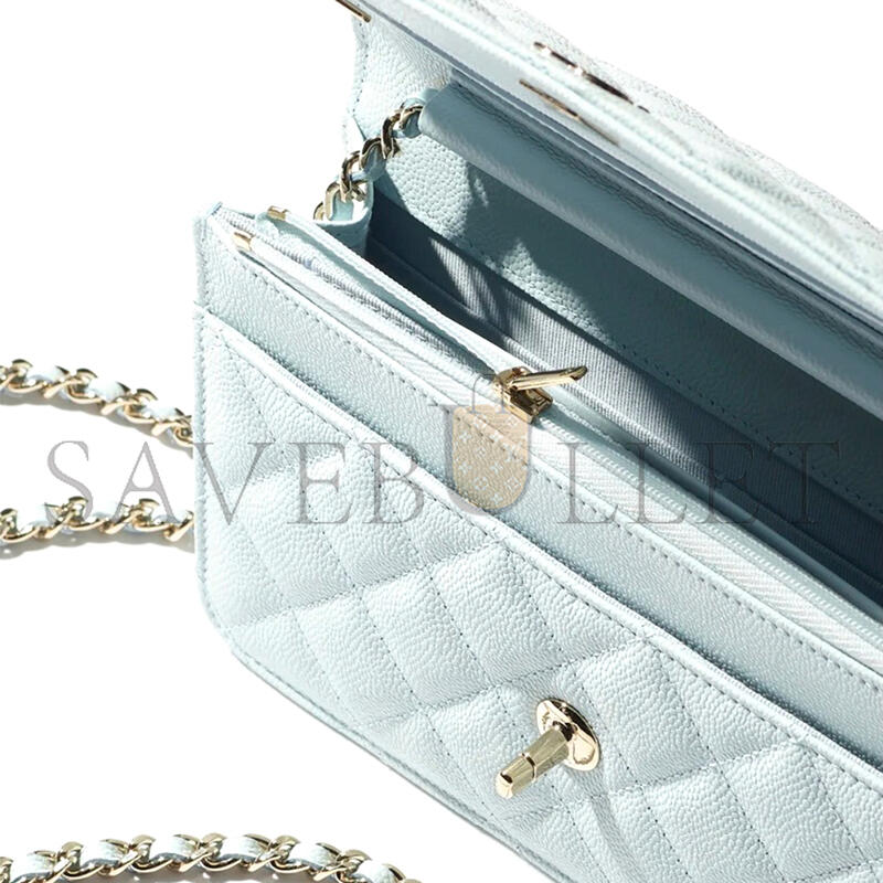 CHANEL WALLET ON CHAIN AP4241 (19.2*12.3*3.5cm)