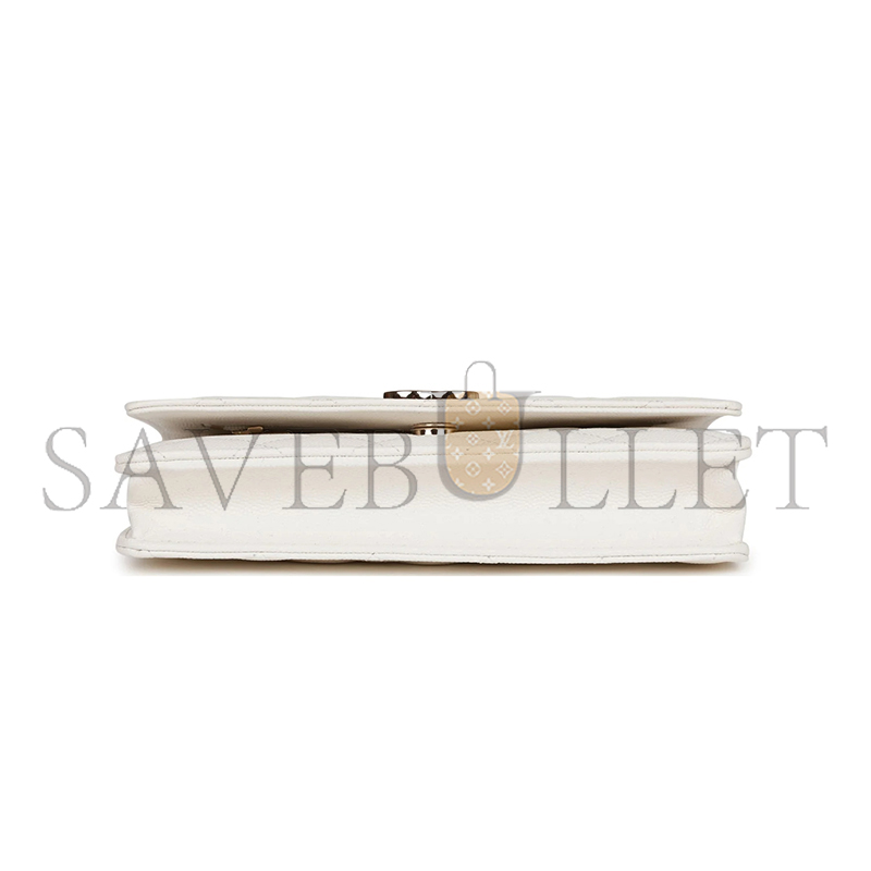 CHANEL WALLET ON CHAIN WOC AP3127 (19*12*4cm)