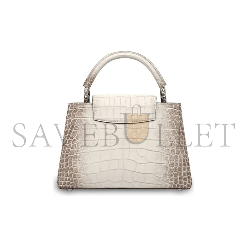 LOUIS VUITTON MASTER CAPUCINES BB N99290 (27*18*9cm)