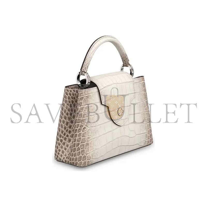 LOUIS VUITTON MASTER CAPUCINES BB N99290 (27*18*9cm)