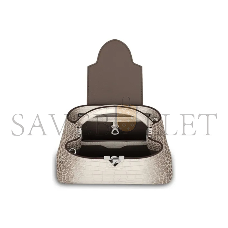 LOUIS VUITTON MASTER CAPUCINES BB N99290 (27*18*9cm)