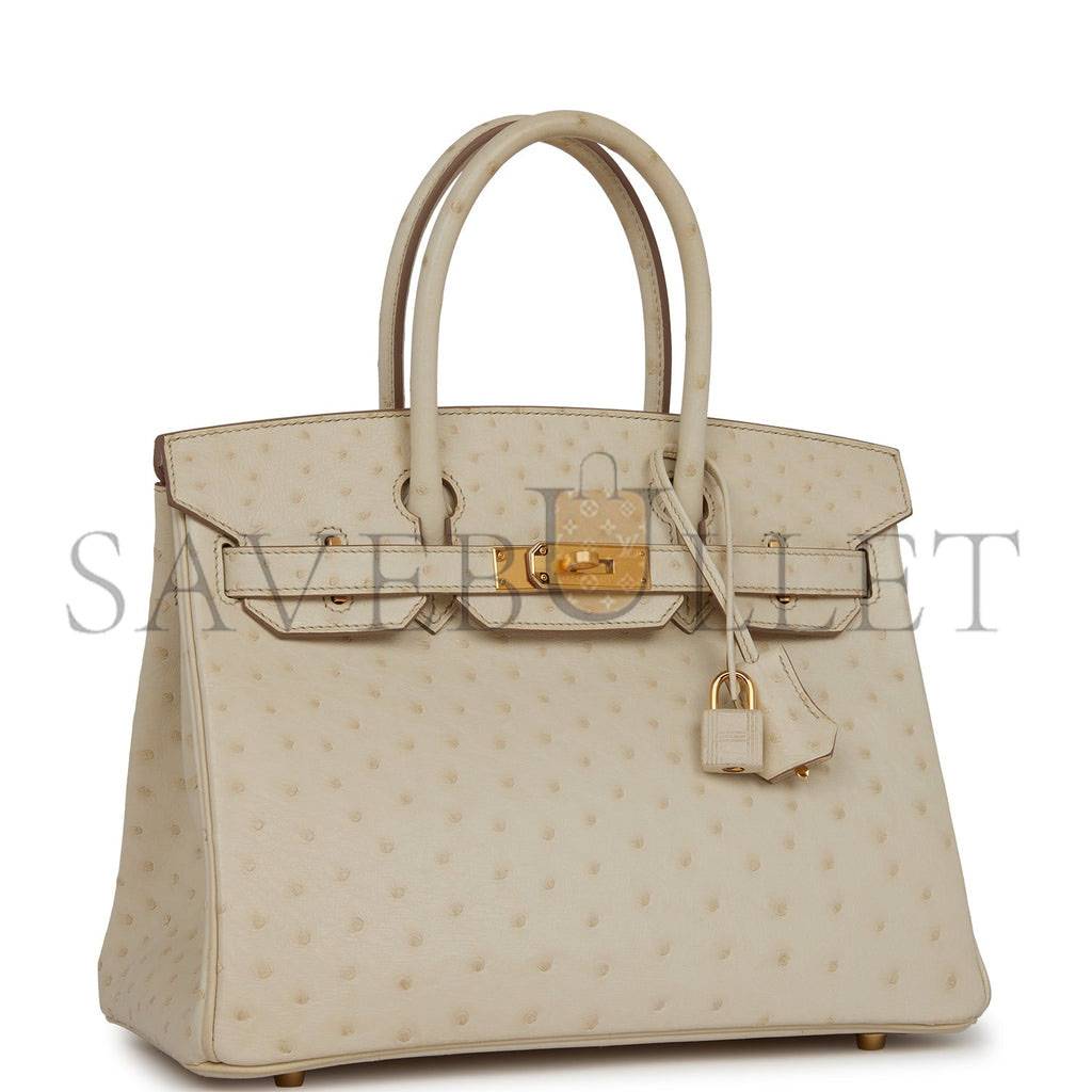 HERMES MASTER BIRKIN 30 OSTRICH PALLADIUM HARDWARE (30*22*16cm)