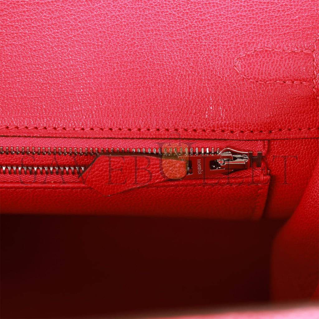 HERMES MASTER BIRKIN 25 LIZARD PALLADIUM HARDWARE (25*20*13cm)