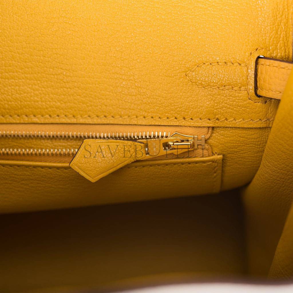 HERMES BIRKIN 25 TOGO BRUSHED GOLD HARDWARE (25*20*13cm)