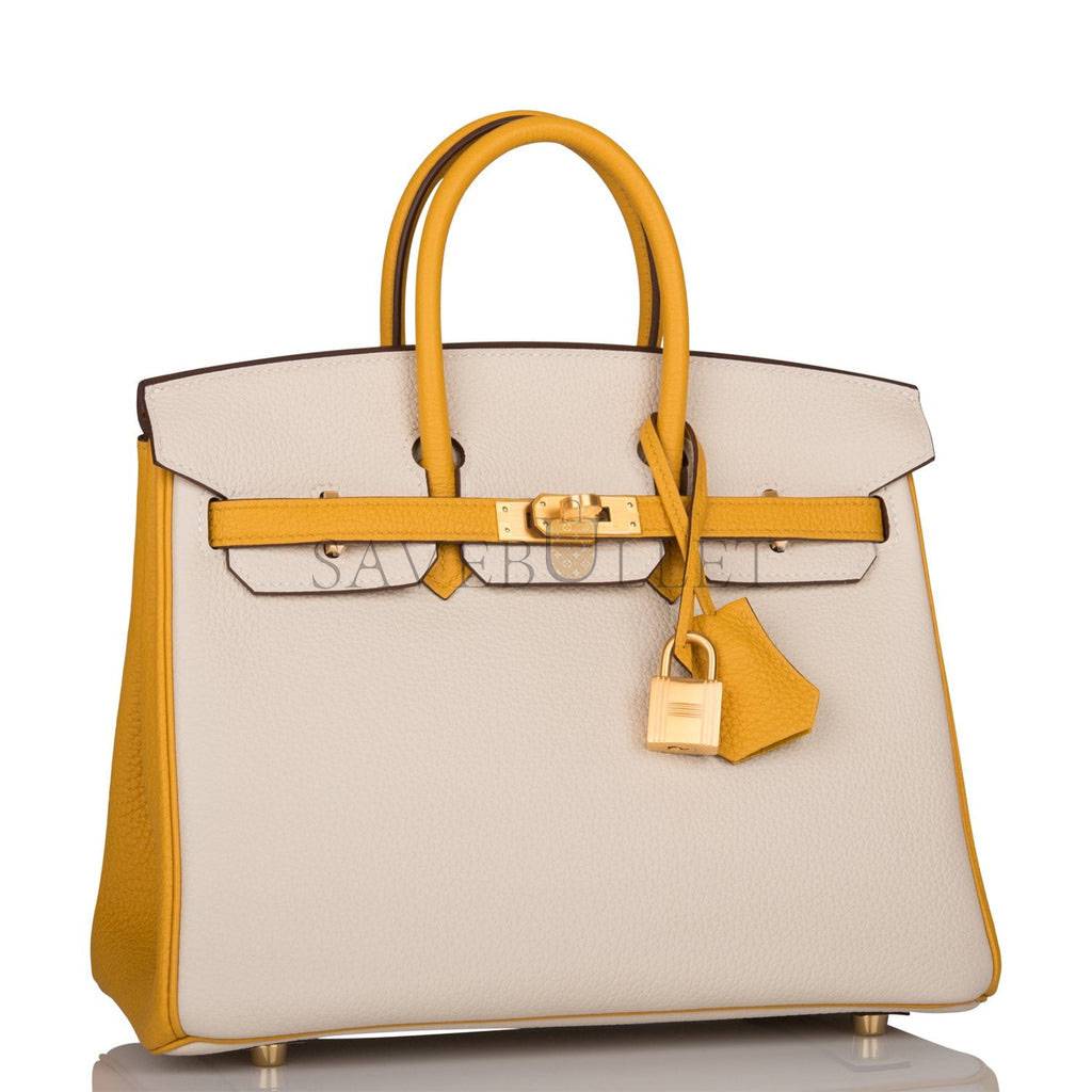HERMES BIRKIN 25 TOGO BRUSHED GOLD HARDWARE (25*20*13cm)