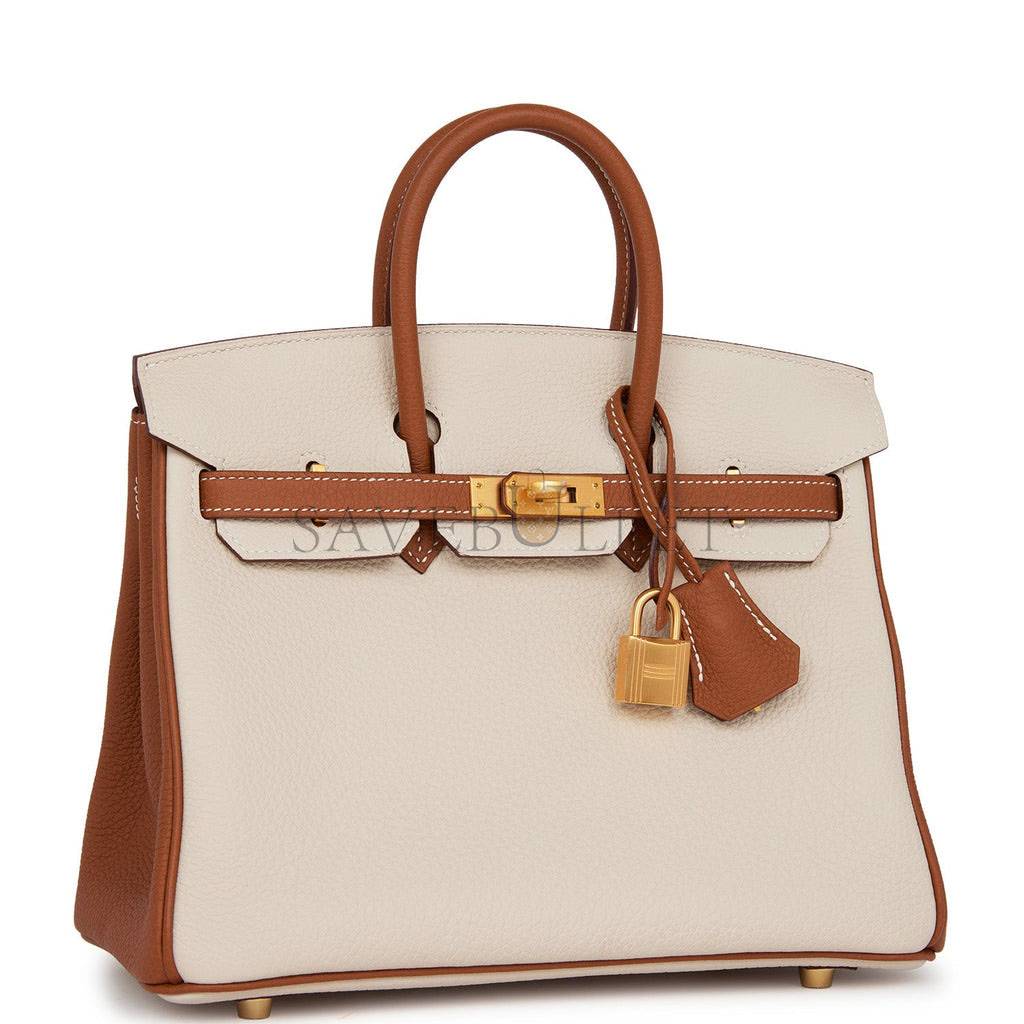 HERMES BIRKIN 25 TOGO BRUSHED GOLD HARDWARE (25*20*13cm)