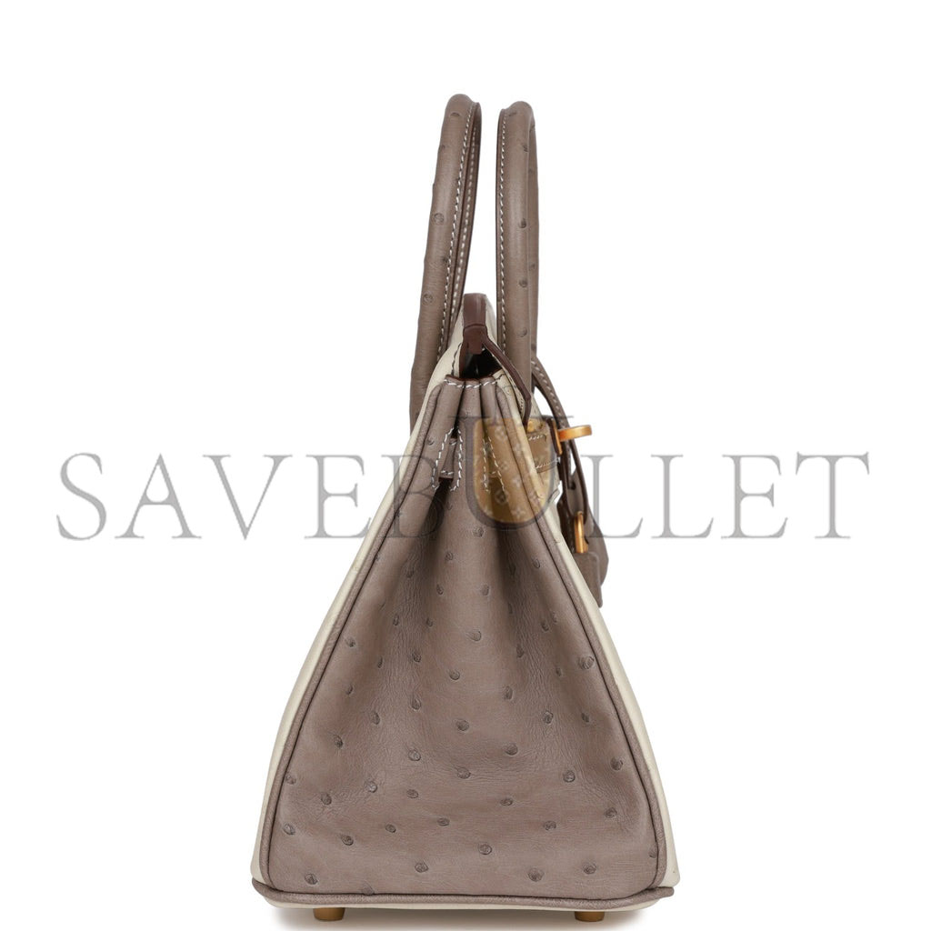 HERMES MASTER BIRKIN 25 OSTRICH BRUSHED GOLD HARDWARE (25*20*13cm)