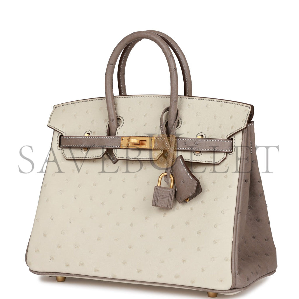 HERMES MASTER BIRKIN 25 OSTRICH BRUSHED GOLD HARDWARE (25*20*13cm)