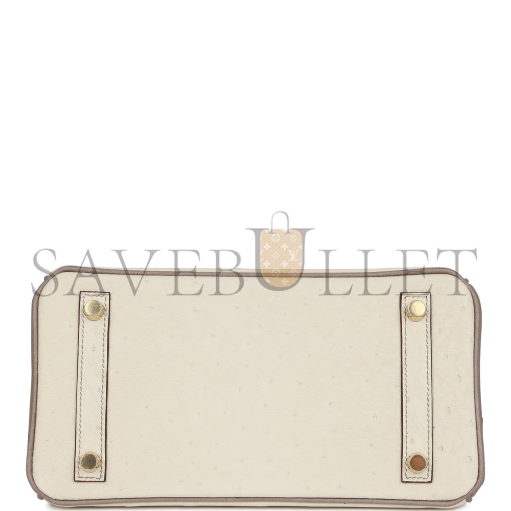 HERMES MASTER BIRKIN 25 OSTRICH BRUSHED GOLD HARDWARE (25*20*13cm)