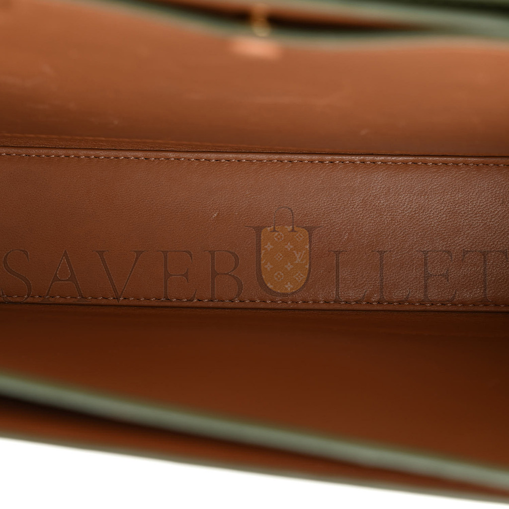 LOEWE SILK CALFSKIN GOYA BAG AVOCADO (22*15*7cm)