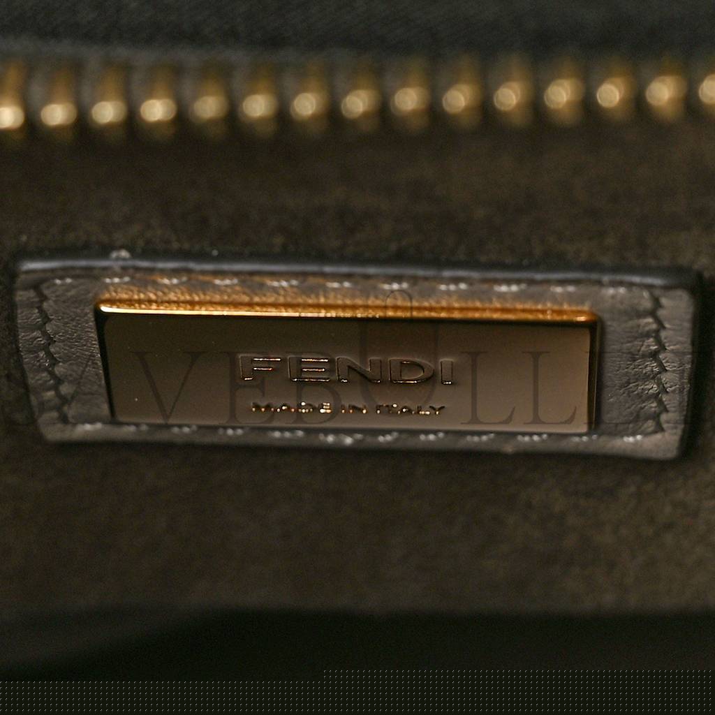 FENDI VITELLO SETA PLEXIGLASS TORTOISE MEDIUM PEEKABOO ICONIC SATCHEL TORTORA (33*25*13cm)