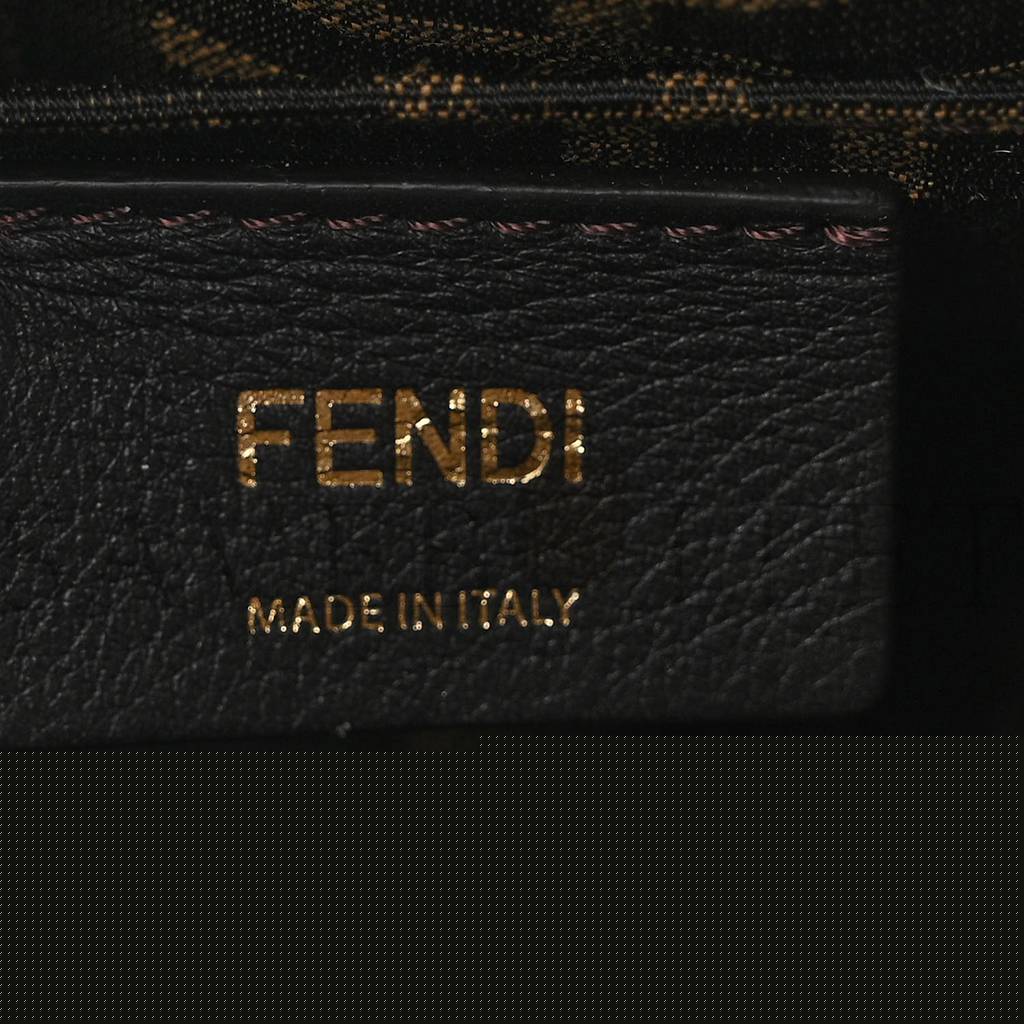 FENDI VITELLO KING PLEXIGLASS LOGO EMBOSSED MINI BY THE WAY TOP HANDLE BOSTON BAG TORTORA (18*11*8cm)